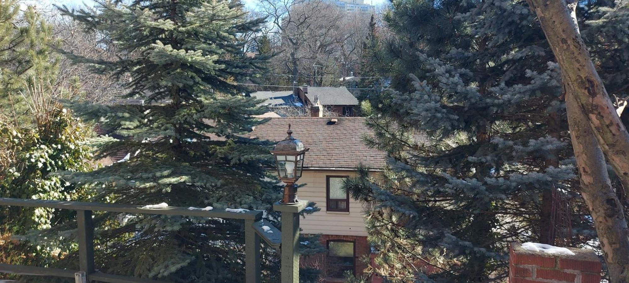 High Park Single Room With Personal Washroom And Kitchen Toronto Exterior foto